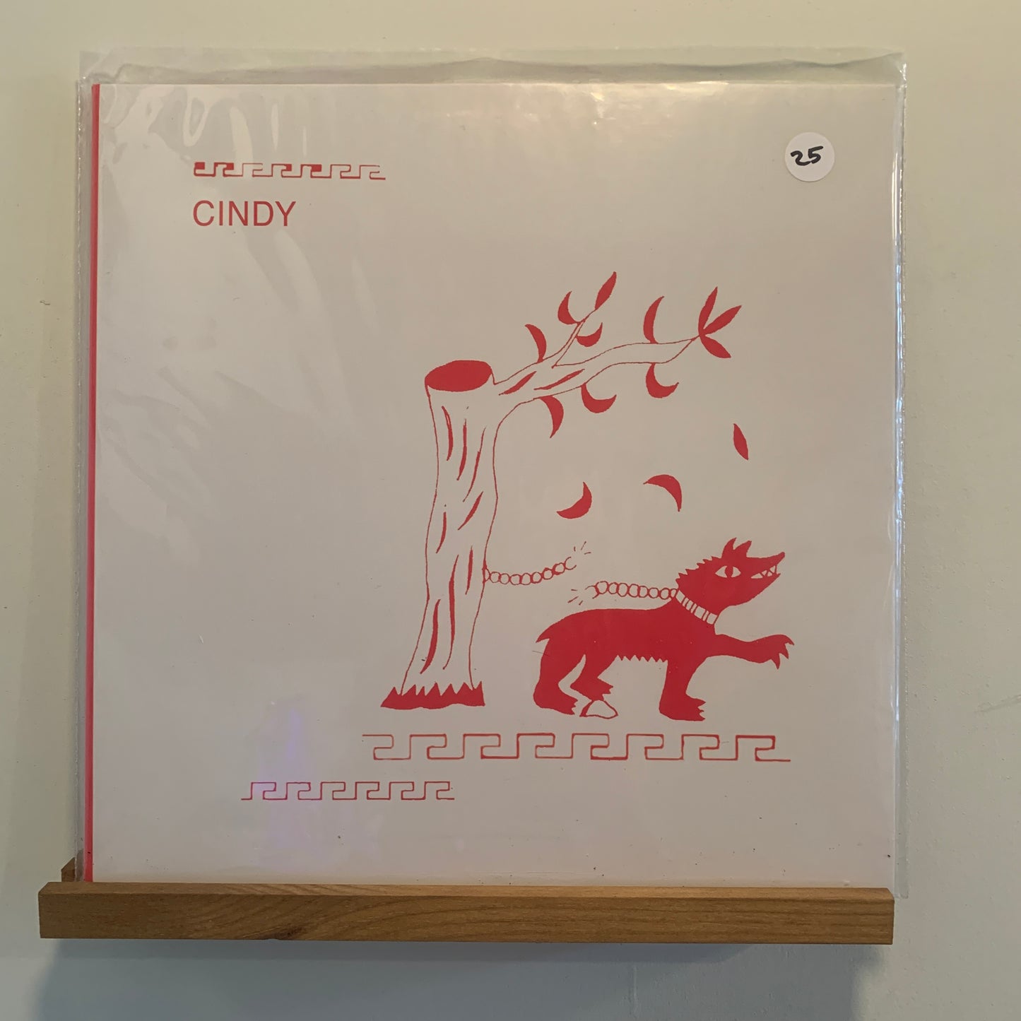 Cindy - Why Not Now?