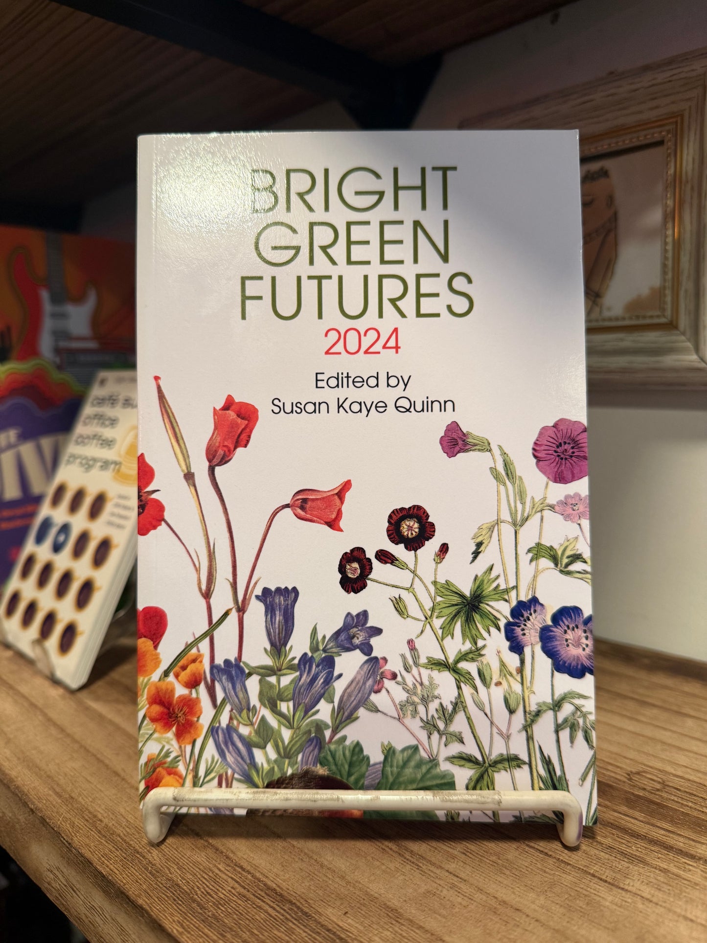 Bright Green Futures: 2024 - Edited by Susan Kaye Quinn